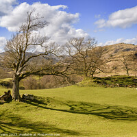 Buy canvas prints of Little Langdale Farmland by Darrell Evans