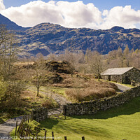 Buy canvas prints of Little Langdale by Darrell Evans