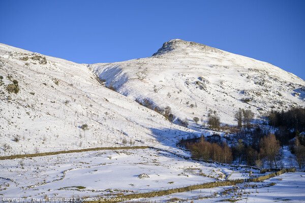 Helvellyn in Snow Picture Board by Darrell Evans