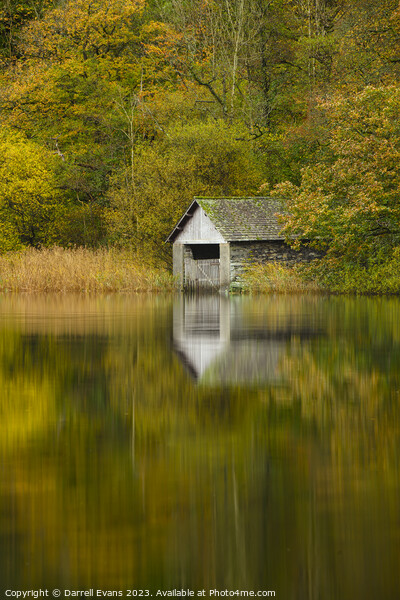 Rydal In Autumn Picture Board by Darrell Evans