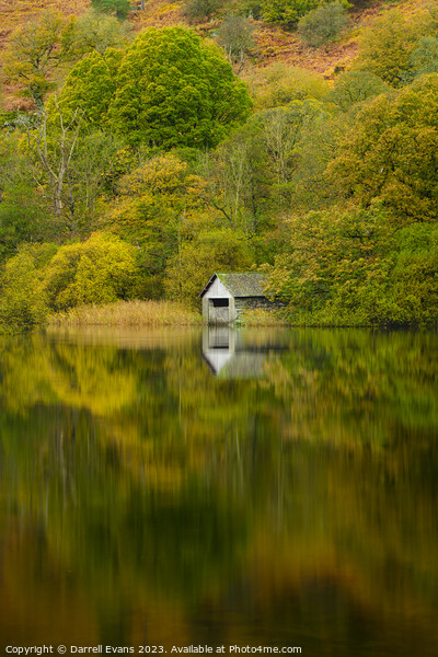 Autumn at Rydal Water Picture Board by Darrell Evans