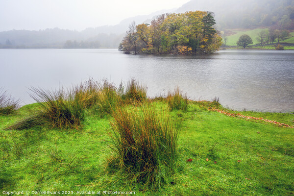 Island in Rydal Water Picture Board by Darrell Evans