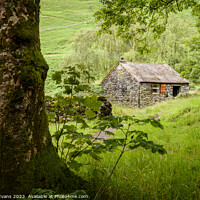 Buy canvas prints of Stone hut in the woods by Darrell Evans