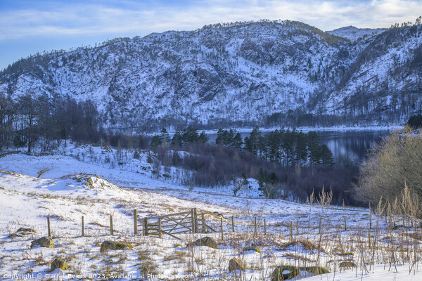 Thirlmere in snow Picture Board by Darrell Evans