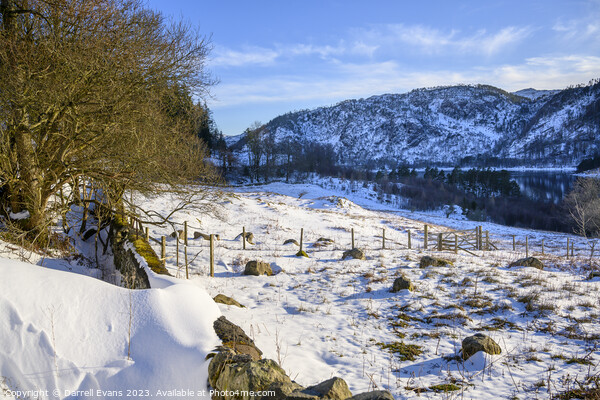 Winter at Thirlmere Picture Board by Darrell Evans