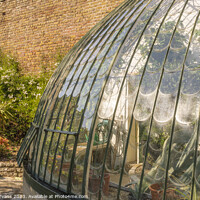 Buy canvas prints of Italianate Glasshouse by Darrell Evans