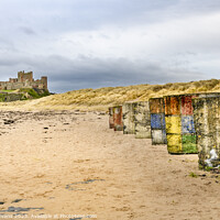 Buy canvas prints of Rubics of Bamburgh by Darrell Evans