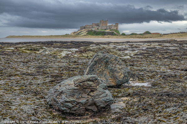Bamburgh and Rock Picture Board by Darrell Evans