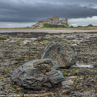 Buy canvas prints of Bamburgh and Rock by Darrell Evans