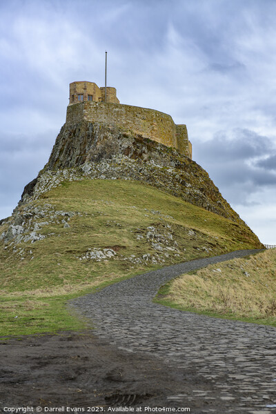 Lindisfarne Castle and Path Picture Board by Darrell Evans