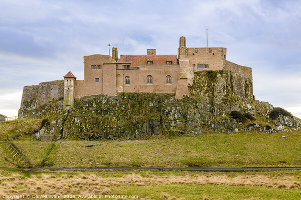 Lindisfarne Castle Northumberland Picture Board by Darrell Evans