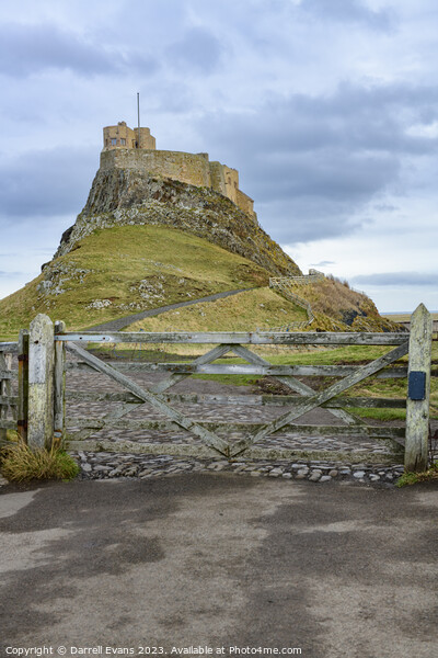 Lindisfarne Castle and Gate Picture Board by Darrell Evans