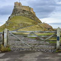 Buy canvas prints of Lindisfarne Castle and Gate by Darrell Evans