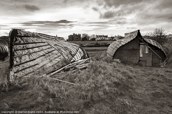 Lindisfarne Boat Sheds Picture Board by Darrell Evans