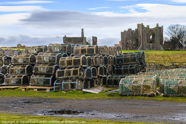 Crabbing pots on Lindisfarne Picture Board by Darrell Evans