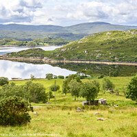 Buy canvas prints of Loch Torridon from Wester Aligin by Darrell Evans