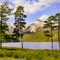 Buy canvas prints of Loch Clair and Beinn Eighe by Darrell Evans