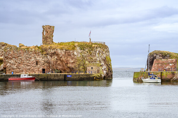 Harbour at Dunbar Picture Board by Darrell Evans