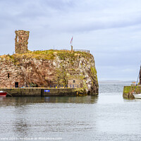 Buy canvas prints of Harbour at Dunbar by Darrell Evans