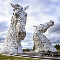 Buy canvas prints of The Kelpies by Darrell Evans