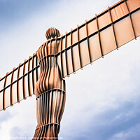 Buy canvas prints of The Angel of the North  by Darrell Evans