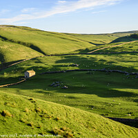 Buy canvas prints of Yorkshire Fields by Darrell Evans