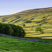 Buy canvas prints of Littondale by Darrell Evans