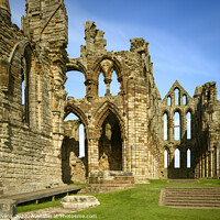 Buy canvas prints of Whitby Ruins by Darrell Evans