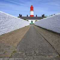 Buy canvas prints of Path to Souter Lighthouse by Darrell Evans
