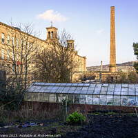 Buy canvas prints of Salts Mill by Darrell Evans