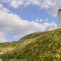 Buy canvas prints of Flamborough Lighthouse by Darrell Evans