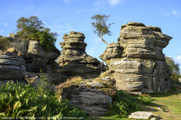 Brimham Rocks Picture Board by Darrell Evans
