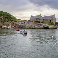 Buy canvas prints of Cove Harbour by Darrell Evans
