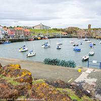 Buy canvas prints of Dunbar Harbour by Darrell Evans