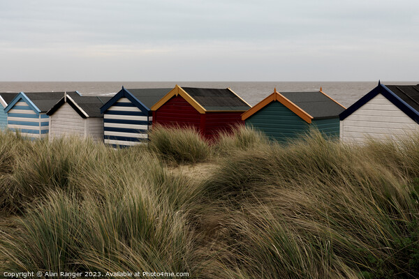 Southwold Beach Huts Picture Board by Alan Ranger