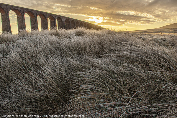 Ribblehead Viaduct on a frosty morning Picture Board by simon waldram