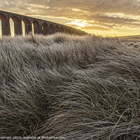 Buy canvas prints of Ribblehead Viaduct on a frosty morning by simon waldram
