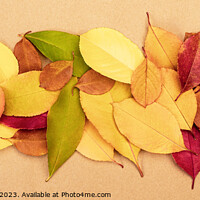 Buy canvas prints of Colourful autumn dry leaves by Lana Topoleva