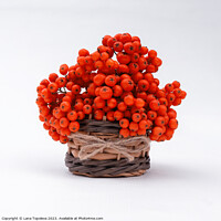 Buy canvas prints of  orange juicy berries in a wicker basket  by Lana Topoleva