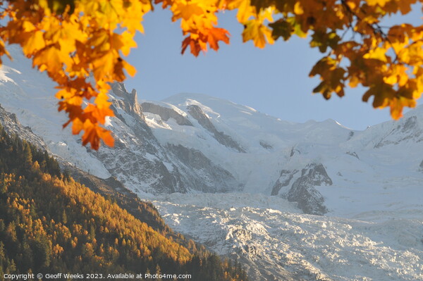 Autumn in Chamonix Picture Board by Geoff Weeks