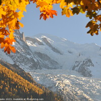 Buy canvas prints of Autumn in Chamonix by Geoff Weeks