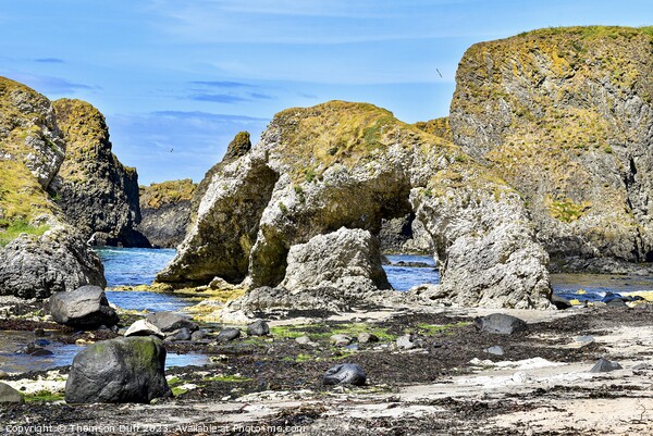 Ballintoy, Co. Antrim, Northern Ireland  Picture Board by Thomson Duff