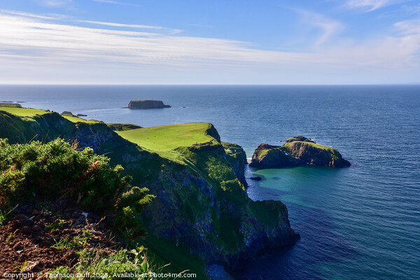 Carrick-a-rede, Co. Antrim, Northern Ireland  Picture Board by Thomson Duff
