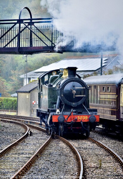 Steam train Kingswear Picture Board by Thomson Duff