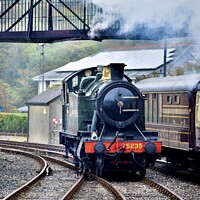 Buy canvas prints of Steam train Kingswear by Thomson Duff