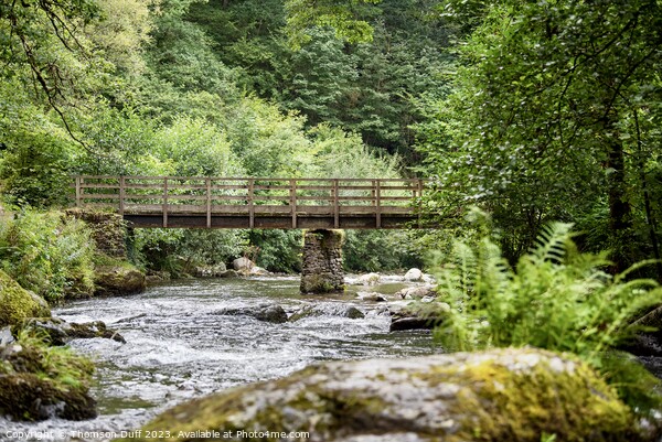 Watersmeet on the East Lyn River, North Devon Picture Board by Thomson Duff