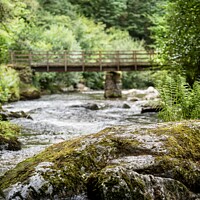 Buy canvas prints of Watersmeet on the East Lyn River, North Devon by Thomson Duff