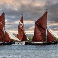 Buy canvas prints of Sailing Barges by Thomson Duff