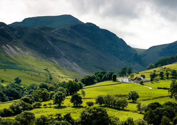 Sunny view of the Newlands Valley, Lake District, Cumbria Picture Board by Chris Mann