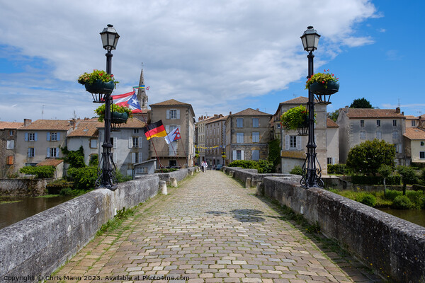 Pont-Vieux,  Confolens, Charente, France Picture Board by Chris Mann